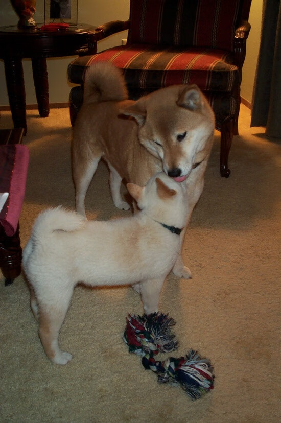 中国男篮全队严守训练纪律 保持良好状态,中国男篮职业联赛纪律准则