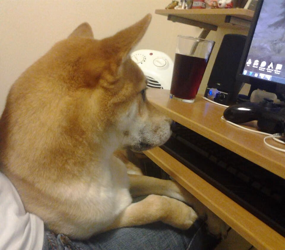 国家队核心更替缺乏连贯规划,国家队核心更替缺乏连贯规划的原因