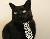 深圳领航队后场组织串联能力提升明显，深圳领航员青年队