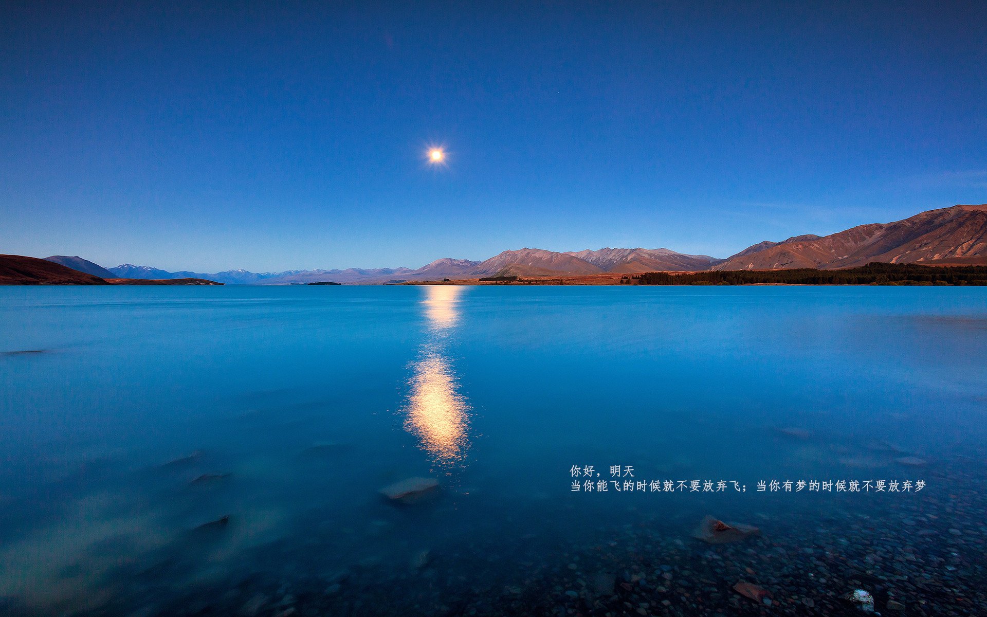 斯洛伐克女篮在欧洲预赛中持续精进,冲击世界杯舞台,斯洛伐克 欧预赛
