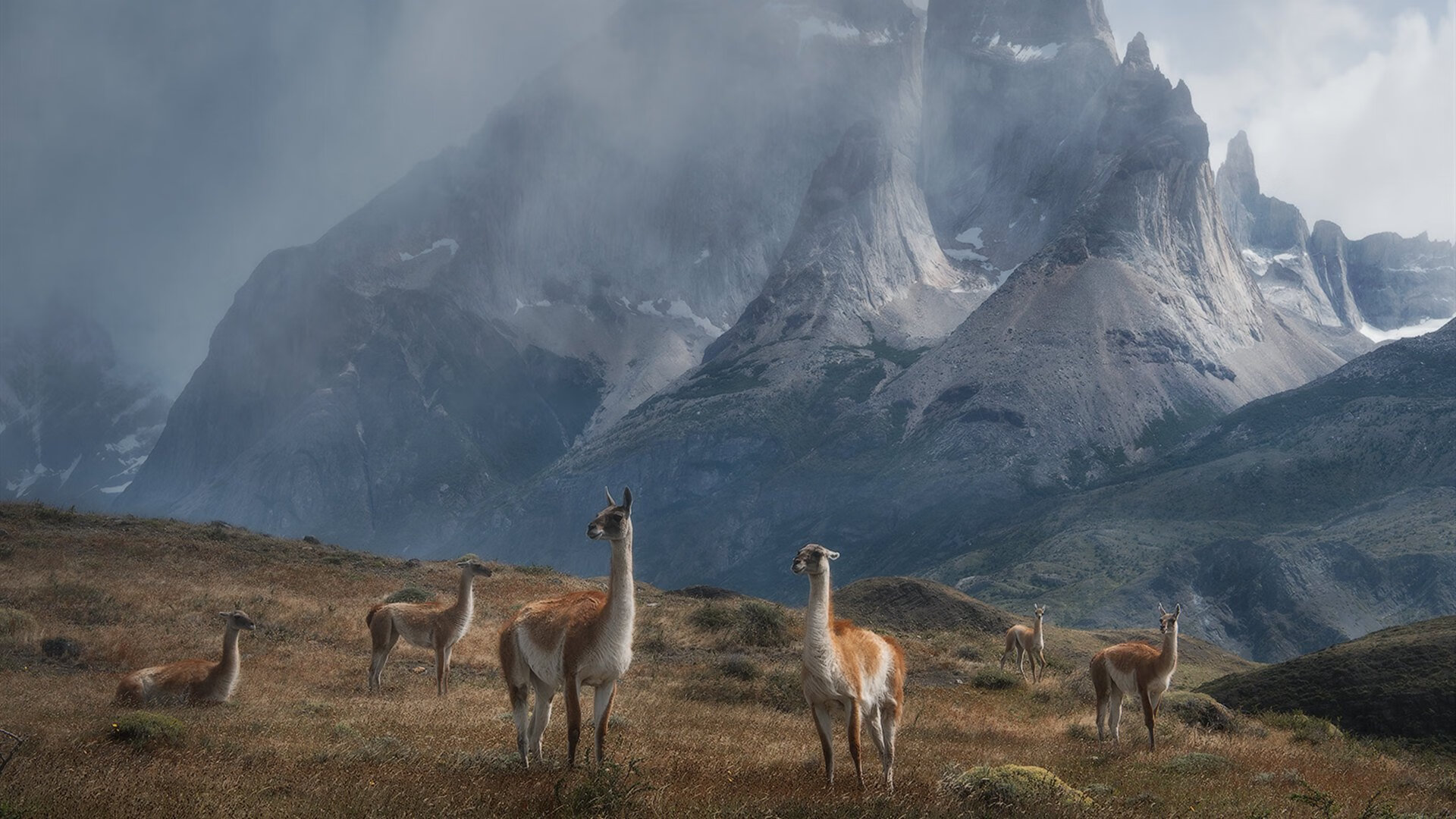 朱婷鼓励新人突破瓶颈不断挑战自我,朱婷的绝招