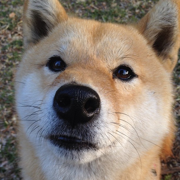 爱游戏官网充值-足球交流大会助力国际合作，共享行业最新技术与经验，足球交流赛是什么意思